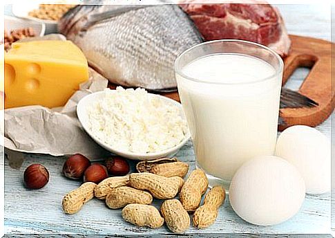 Protein-rich food