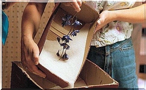 Dried flowers