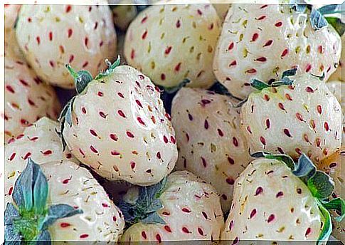 Pineapple strawberries are a cross between two varieties of strawberries