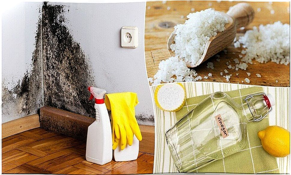 5 effective ways to remove moisture in your home