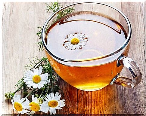 Chamomile tea with flower in 