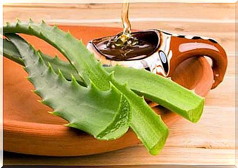 Aloe vera and honey