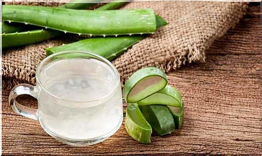 Aloe vera