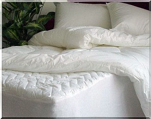 5 tips to disinfect and care for your mattress