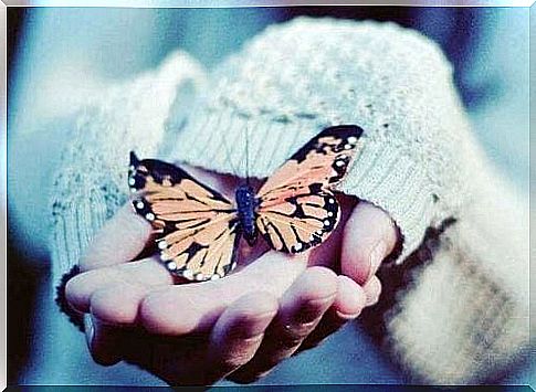 Girl holding a butterfly in her hands