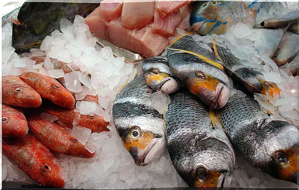 Different types of fish