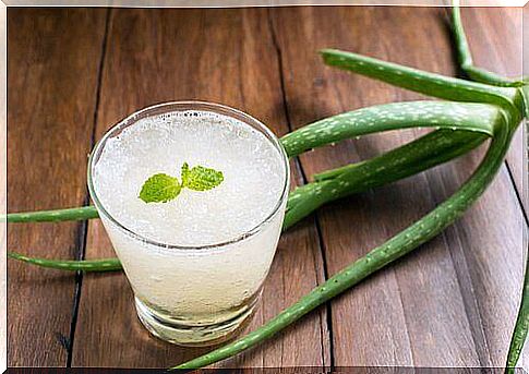 Aloe vera regulates your cholesterol levels