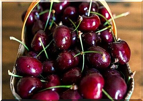 Cherries contain melatonin