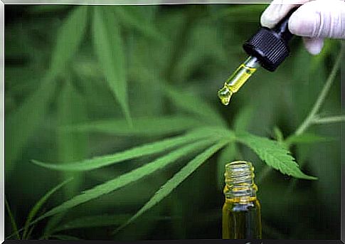 Characteristics and use of CBD oil