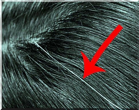 Cover your gray hair with this home treatment