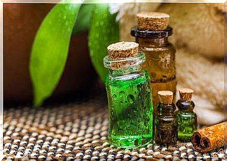 Essential tea tree oil