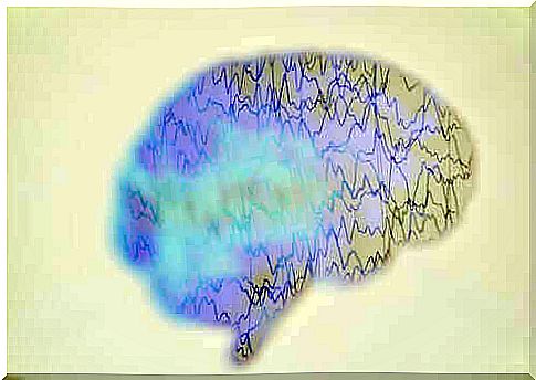 Measurement in brain