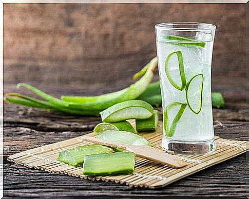 glass with aloe vera - anal kloee