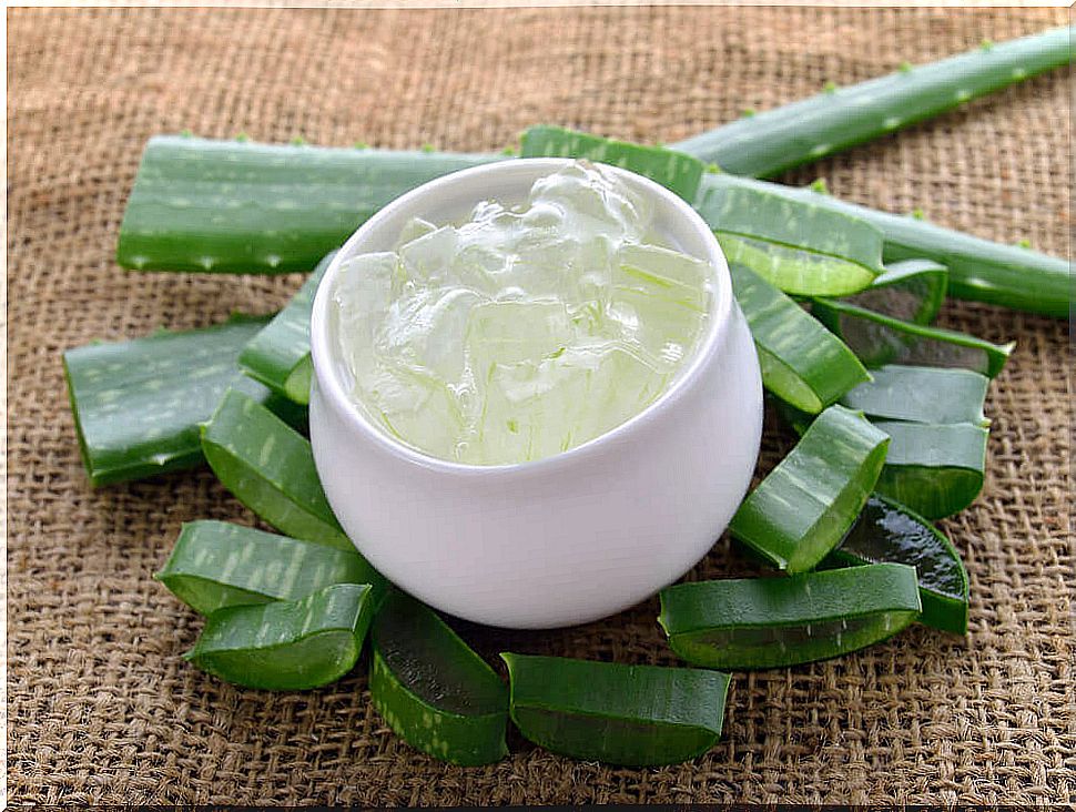 Aloe vera gel from the leaves