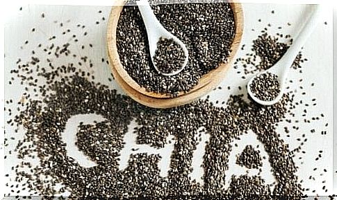 Five wonderful recipes with chia seeds