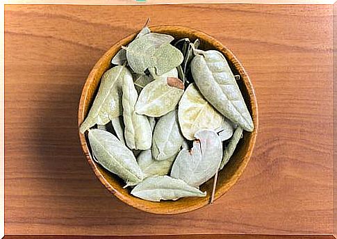 dried leaves in a bowl