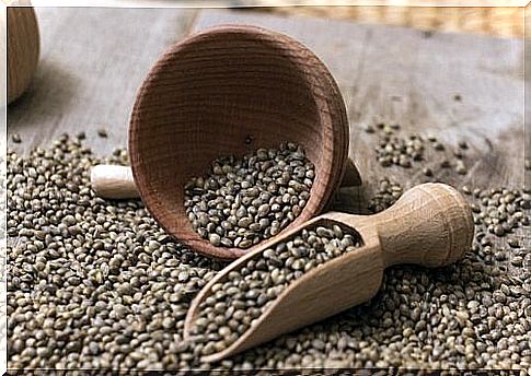 Hemp seeds are rich in healthy fatty acids, high quality proteins and essential micronutrients