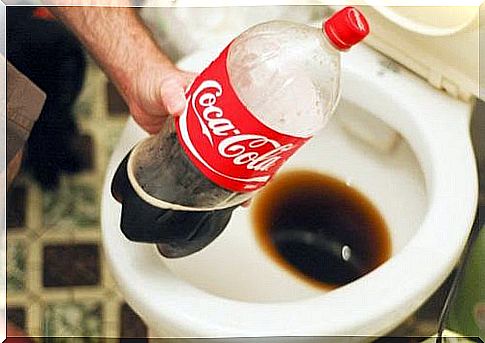 Cola toiletrens