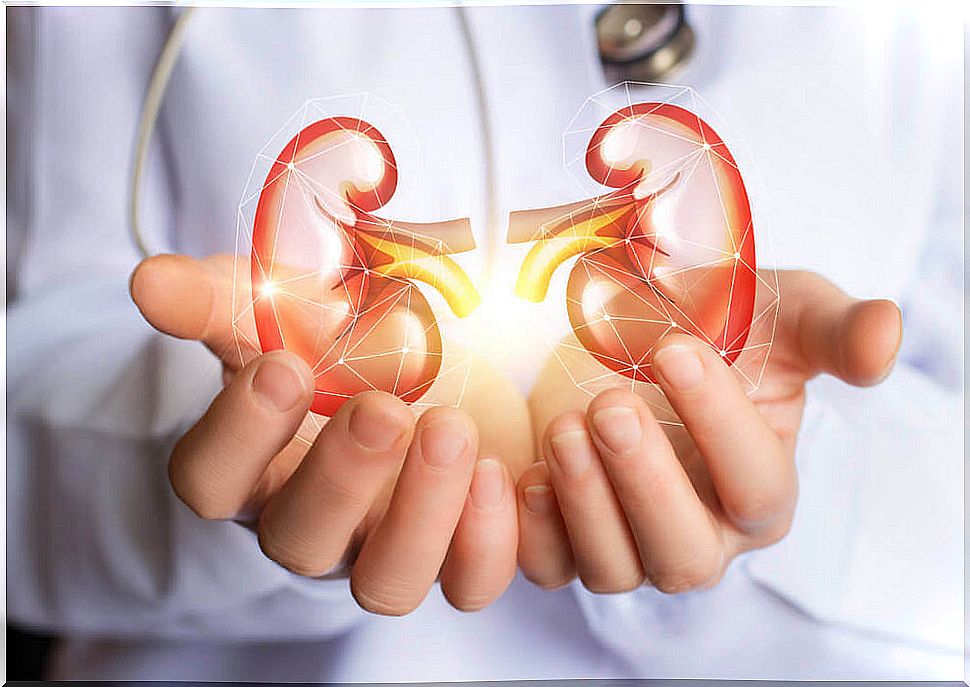 Incredible detox for your kidneys