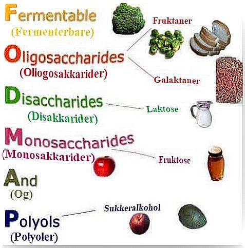 Food chart to avoid irritable bowel syndrome