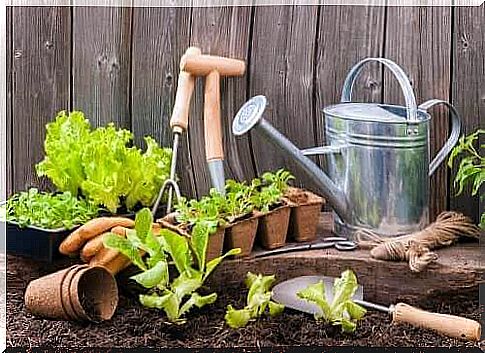 Tools for making a city garden