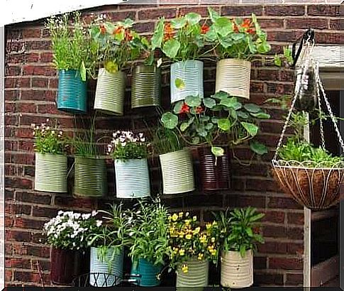 You can hang plants vertically in pots or planters to make better use of the space