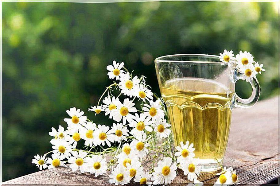 chamomile for allergies