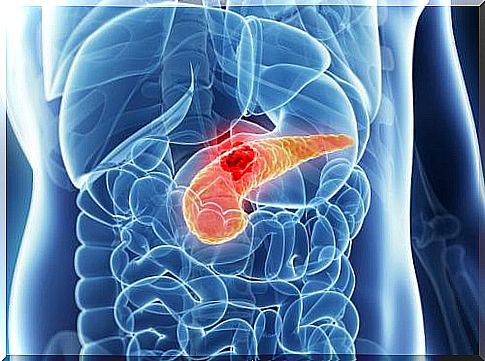 figure shows the pancreas