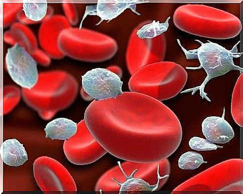 Blood and platelets