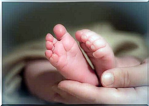 Baby feet in parents' hand