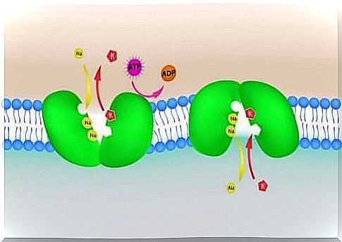 Hyperkalaemia can be caused by too much potassium