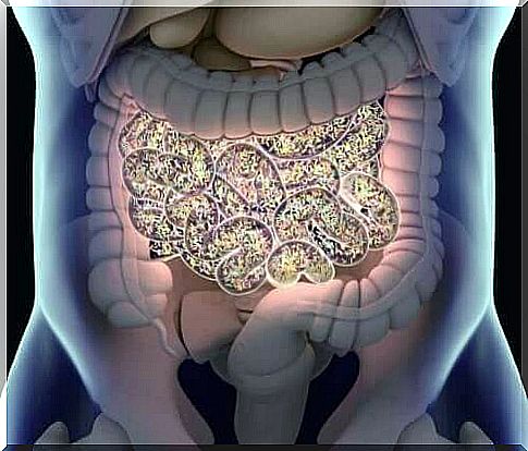 Illustration of normal microbiota 