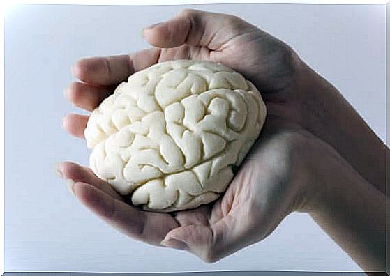 Brain in hand